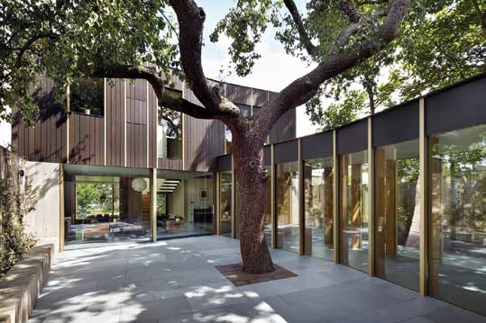 Tree-filled courtyard enclosed by full-height glass with timber uprights and opening sections